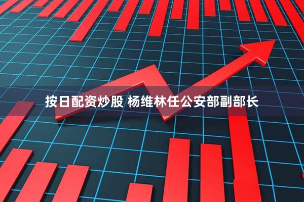 按日配资炒股 杨维林任公安部副部长