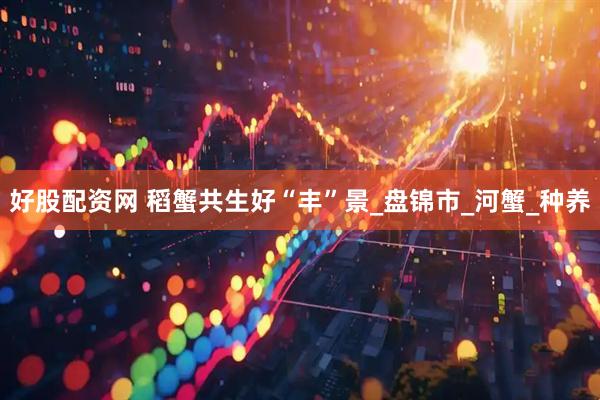 好股配资网 稻蟹共生好“丰”景_盘锦市_河蟹_种养