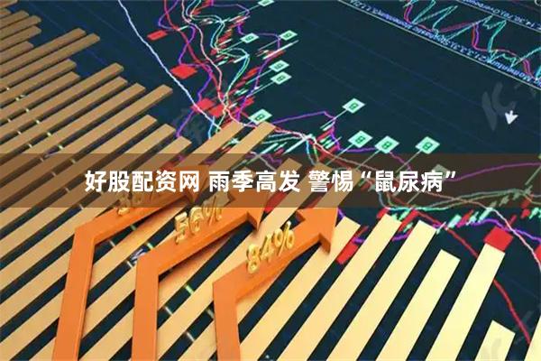 好股配资网 雨季高发 警惕“鼠尿病”