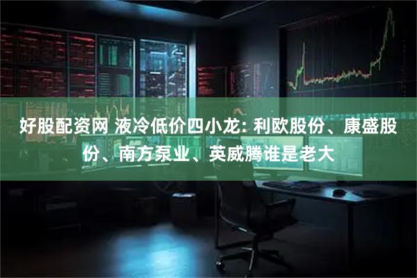 好股配资网 液冷低价四小龙: 利欧股份、康盛股份、南方泵业、英威腾谁是老大